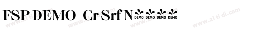 FSP DEMO   Cr Srf N字体转换
